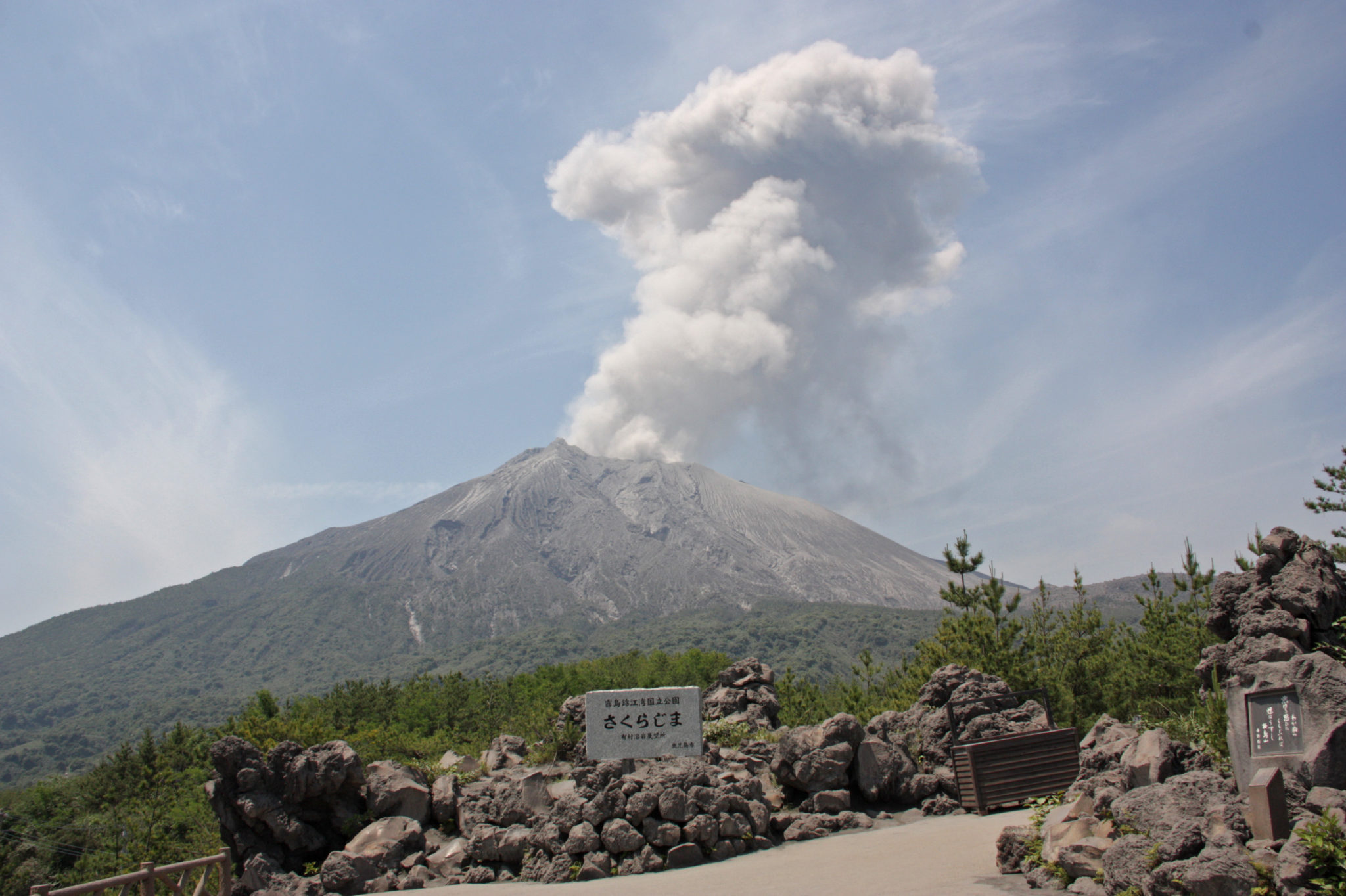 杉野遥亮 短髪